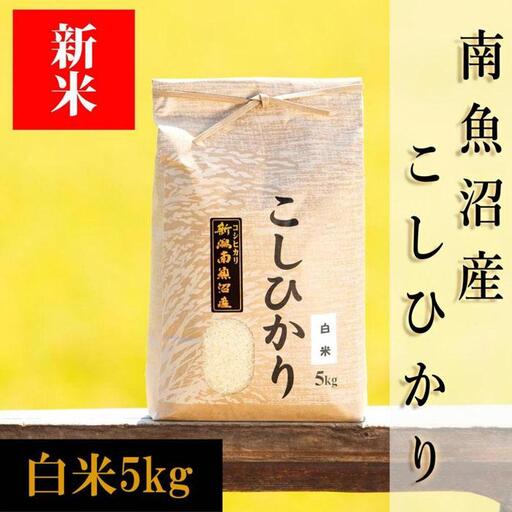 【令和8年産 新米予約】南魚沼産コシヒカリ（白米）【5kg】【銘柄米 ブランド米 精米 こしひかり コシヒカリ 魚沼産 新潟米 産地直送 お米 米 こめ コメ ご飯 御飯 ごはん】【2026年10月上旬から1ヶ月以内に順次発送予定】