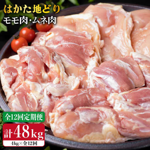 【全12回定期便】はかた地どり もも肉 2kg & むね肉 2kg 合計4kg セット 糸島【糸島ミートデリ工房】 [ACA159] 博多 鶏肉 鳥 もも むね モモ ムネ 焼肉 焼き肉 BBQ 小分け 国産