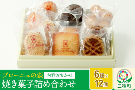 内容おまかせ!焼き菓子詰め合わせ 12個入り