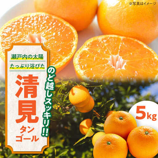 清見タンゴール 5kg 清見[3月下旬から順次発送][AGAW005]