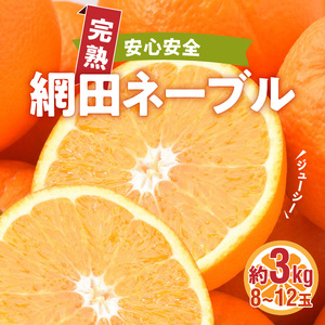 村田果樹園 [贈答用]完熟網田ネーブル 約3kg(8玉〜10玉) 