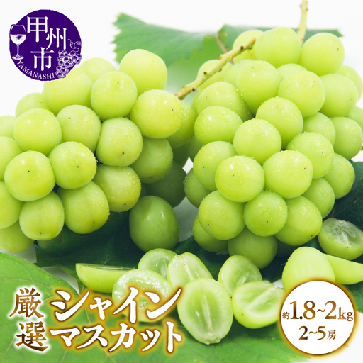 甲州市産 厳選 シャインマスカット 約1.8～2kg（2～5房）【2026年発送】（APX）B18-195 シャインマスカット フルーツ