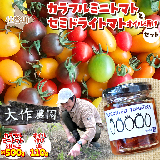 ＜2026年7月上旬よりお届け＞北海道壮瞥産 大作農園の「カラフルミニトマト」約500g（5種以上）とセミドライトマトオイル漬け1瓶（110g）のセット SBTR008