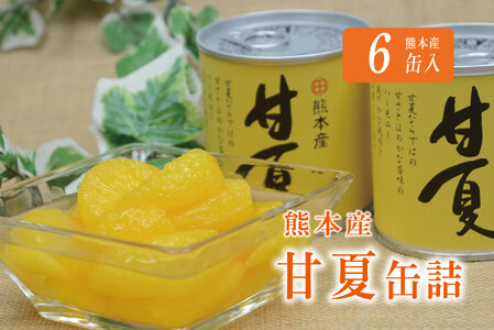 B183-09 甘夏缶詰(6缶入)