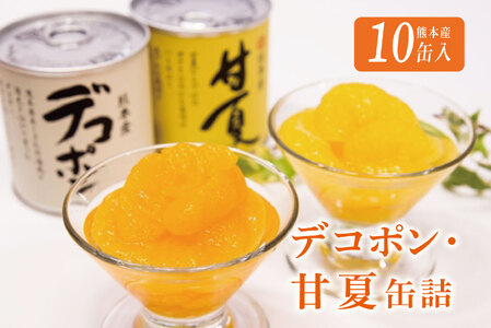  デコポン・甘夏缶詰セット(10缶入)