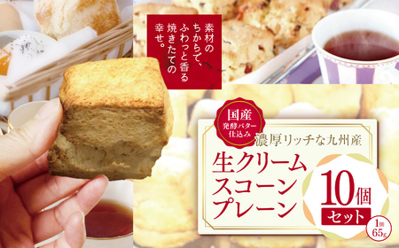 国産発酵バター仕込み濃厚リッチな九州産生クリームスコーン プレーン10個セット | お菓子 菓子 おかし 洋菓子 焼き菓子 イギリス菓子 プレーンスコーン おやつ デザート スイーツ 手作り ティータイム アフタヌーンティー 大分県 中津市