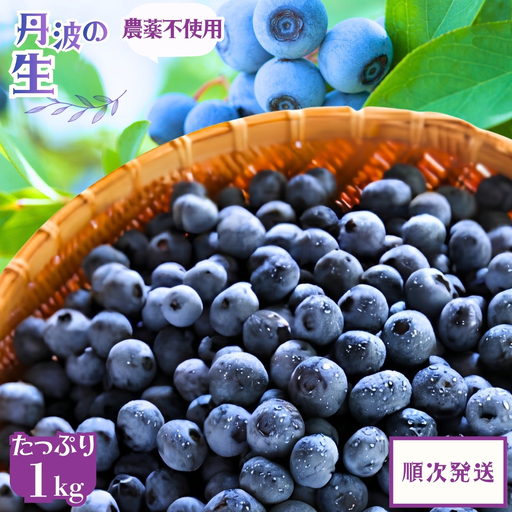 ブルーベリー 生果実 1kg  生ブルーベリー順次発送  無農薬 丹波市産 
