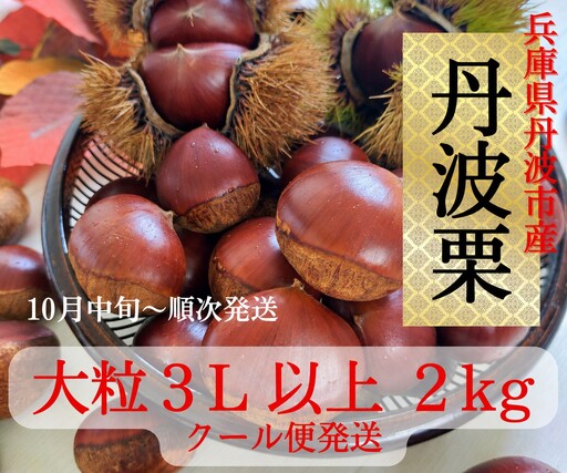 栗 丹波栗 3L以上 2kg 大粒 栗