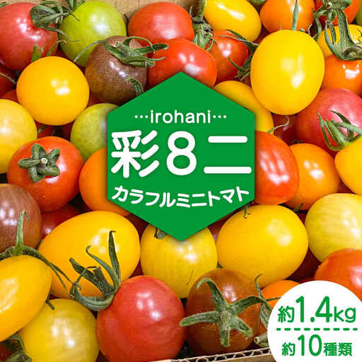 [2027年1月中旬-発送]ミニトマト 彩8ニ(イロハニ)約10種類 合計約1.4kg / トマト 夏野菜 野菜 旬 食べ比べ / 産地直送 安心 安全 彩り / 南島原市 / 植木農園 