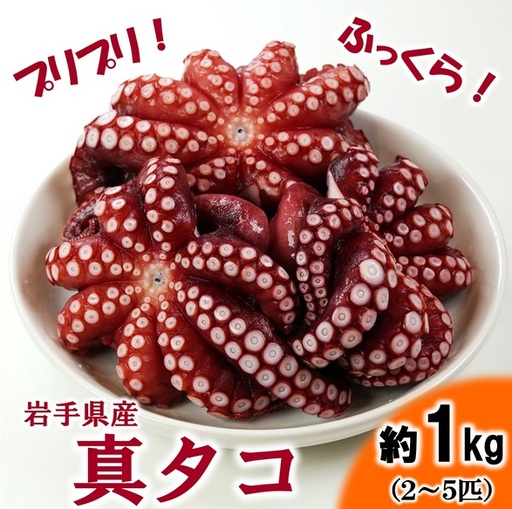 北三陸産 蒸し真タコ丸ごと約1kg(約2匹〜5匹)タコ刺身 たこ焼き たこ 海鮮 海産物 魚介