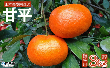 [先行予約][甘平 約3kg 贈答用] 果物 オレンジ フルーツ かんぺい カンペイ 柑橘類 みかん ミカン 蜜柑 ポンカン 西之香 ギフト 贈り物 プレゼント 特産品 山本果樹園 西宇和 愛媛県 西予市 [常温]『2027年1月下旬〜3月上旬迄に順次出荷予定』