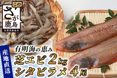 冷凍芝エビ（真エビ）2kg（500g×4パック）＆有明海産 シタビラメ約150g×4尾【有明海の恵】簡単調理 セット D-177