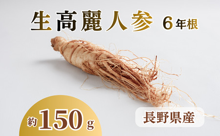 生高麗人参 6年根 大 150g 六年生 生高麗人参