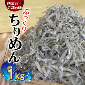ぷっくり ちりめん 1kg_H6015n