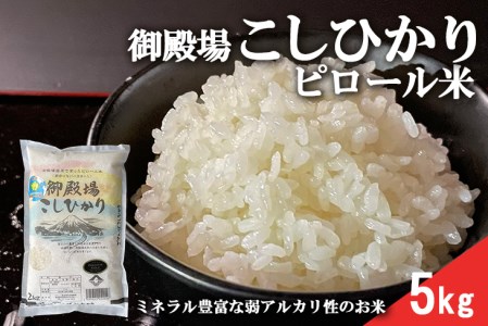 ピロール米　御殿場こしひかり　5kg ◇ ｜ 令和7年産 コシヒカリ 米 精米 白米 静岡県