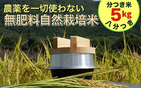 米 【八分つき】自然栽培米 にこまる 分つき米5kg  米 京都丹波産米 無農薬米栽培 厳選品種米