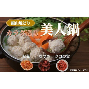 カラダ巡る 銀山地どりの『美人鍋』2〜3人前