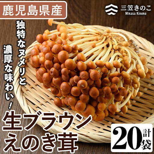 生ブラウンえのき茸(20袋・計3.6kg)国産 エノキ きのこ 茸 キノコ 個包装[三笠えのき茸生産組合]akn010-09