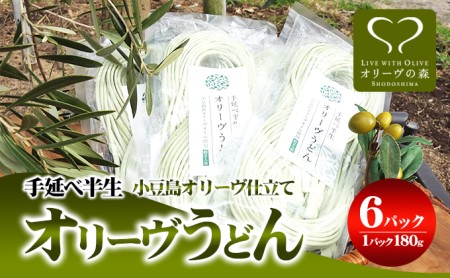 【 小豆島 】オリーヴの森 手延べ半生オリーヴうどん 小豆島産 オリーヴオイル仕立て 6ケパック 手延べ うどん 饂飩 ウドン 麺 麺類 半生 オリーブ オイル 香川 香川県 土庄 土庄町