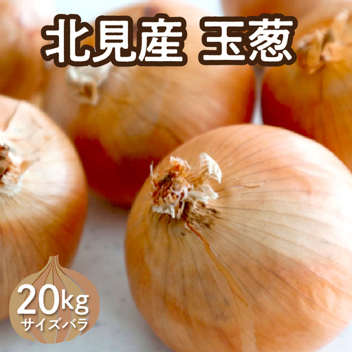 【予約：2026年10月下旬から順次発送】北見産玉ねぎ 20kg ( 機能性玉葱 サイズバラ 玉ねぎ たまねぎ タマネギ 玉葱 オニオン 野菜 北海道 長期貯蔵 )【133-0002-2026】