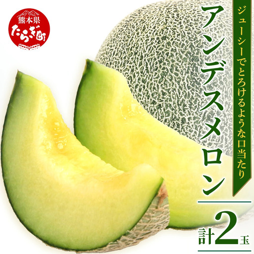 [2027年5月上旬発送開始][先行予約]熊本県産 アンデスメロン 2玉 約2.5kg以上 ご予約 令和9年 先行 メロン めろん フルーツ 果物 くだもの アンデス 甘い ジューシー 果実 糖度14度以上 旬の果物 旬のフルーツ 熊本 熊本県 多良木 4月終了