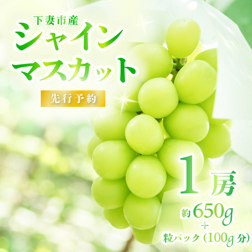 シャインマスカット 1房 ( 約650g ) + 粒パック100g シャインマスカット