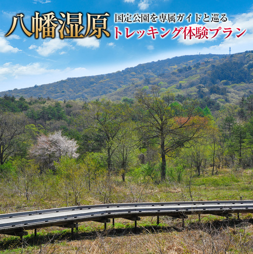 国定公園を専属ガイドと巡る『八幡湿原』トレッキング体験プラン GE014_001