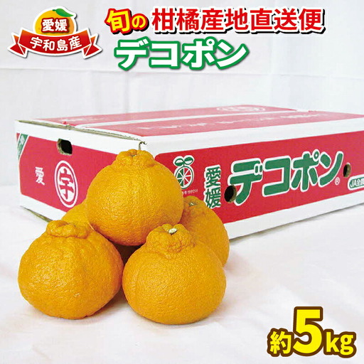【デコポン】 5kg JA デコポン B020-009005