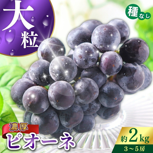 ピオーネ 種なしピオーネ 約2kg 【A213-frks109】