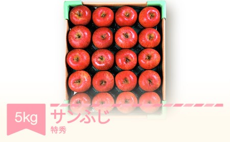 [先行予約]サンふじ 約5kg 特秀品 令和8年産 mm-risft5