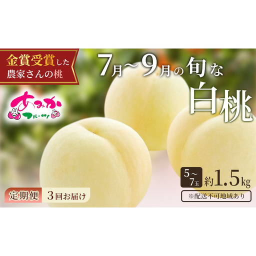 桃 3回 定期便 先行予約 7月～9月 の旬な 白桃 約1.5kg 5～7玉 もも モモ 桃