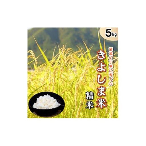 きよしま米【精米】５kg[824] コシヒカリ