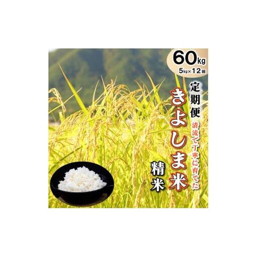 【定期便】きよしま米【精米】５kg×12か月[826] コシヒカリ