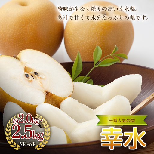 《2027年秋出荷》一番人気の梨 幸水 2.0kg~2.5kg（5~8玉） F24R-118