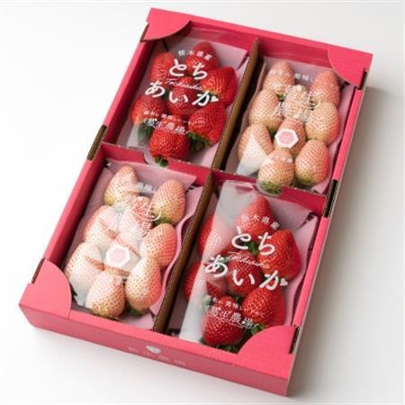 紅白イチゴ(とちあいか、ミルキーベリー)大粒 詰め合わせ(300g×4パック)_果物・フルーツ いちご  イチゴ 苺_【配送不可地域：離島】【1383420】