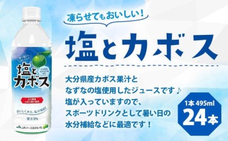 塩とカボス 495ml×24本 計約12kg かぼす なずな ジュース スポーツドリンク