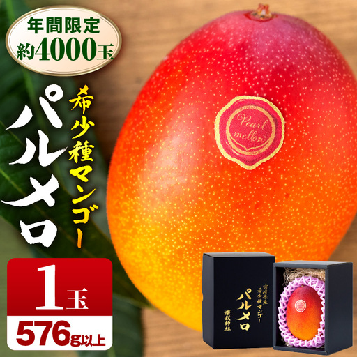 マンゴー 宮崎 パルメロ 1玉 マンゴー[希少種 576g以上]