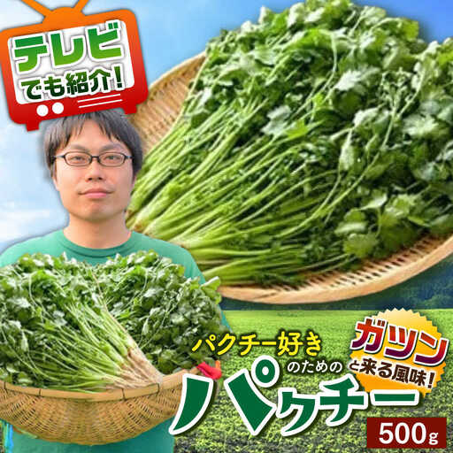パクチー好きのための パクチー 500g [UBF008]