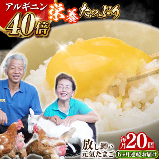 [全6回定期便]アルギニン元気たまご 20個×6回お届け 定期便 (月1回) 自然栽培 たまご 卵 [EA16]