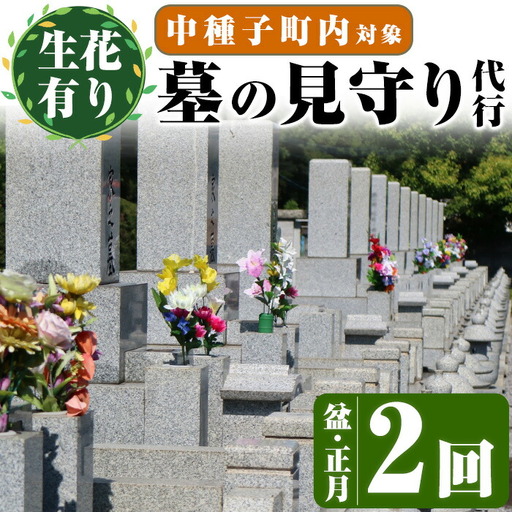 n129 [生花有り] 墓地 清掃 お墓 見守り サービス 2回 盆・正月 除草 管理 [中種子町シルバー人材センター]