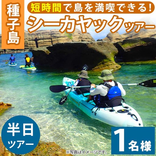n118 シー カヤック 半日 ツアー 1名様分・3時間 種子島 【Lulusun】
