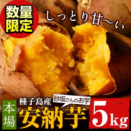 数量限定 安納芋 5kg 種子島 さつまいも 野菜 K-GAP [砂坂展恵]n173