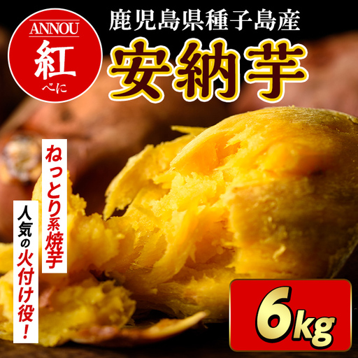 安納芋 さつまいも 紅 6kg 種子島産 【うずえ屋】n480
