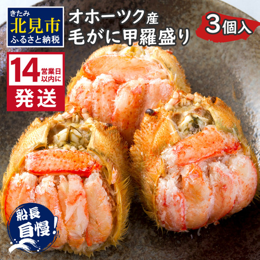《14営業日以内に発送》船長自慢のオホーツク産毛がにの甲羅盛り 3個入り 冷凍 ( 毛ガニ 毛がに 毛蟹 蟹 かに カニ 甲羅盛り オホーツク海 北海道 北見市 ふるさと納税 グラタン チーズ カニ身 )【114-0073】
