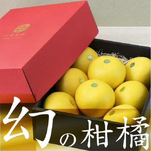 【先行予約】秀品 ☆高知産?土佐文旦☆?3L?8玉入【贈答用】〈2027年1月下旬頃より順次発送〉/ 柑橘 フルーツ 先行予約 ぶんたん ブンタン 果物 お取り寄せ【TAMURAKAJUEN】