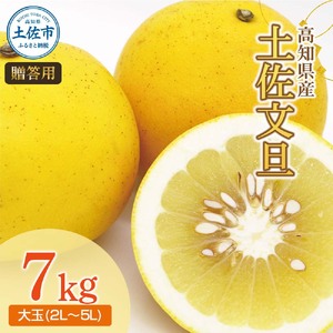 【先行予約】土佐文旦（大玉：2L~5L 混合）約7kg 〈2027年3月中旬?発送〉/ 土佐文旦発祥の地 産地直送 家庭用 贈答用 大玉 特大 3l 4l 約10?15玉 文旦 ぶんたん ブンタン 柑橘【株式会社とさもん】 [BQAE029]