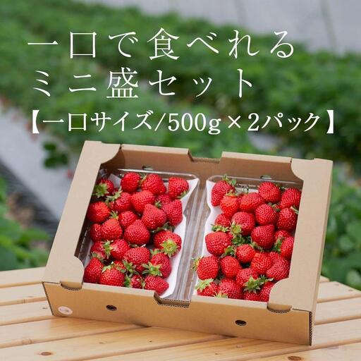 【2027年1月～4月出荷分予約販売】★たっぷり1000g！★ミニサイズの「完熟あまおう」セット