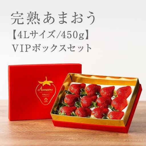 【2027年1月～4月出荷分予約販売】★希少4Lサイズ 450g ★赤のVIPボックスに入った宝石のような「完熟あまおう」！