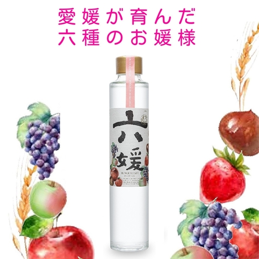 道後ジン 六媛 クラフトジン スピリッツ 愛媛県産 ボタニカル 200ml｜B01