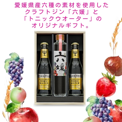 道後ジン　六媛・トニックセット（G6-200）クラフトジン　トニックウォーター　愛媛県産　ボタニカル｜B02